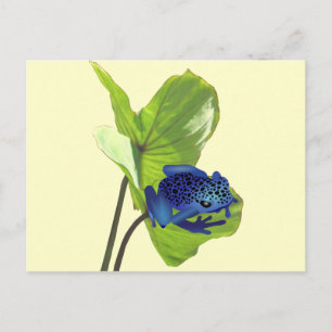 Carte Postale Poison grenouille