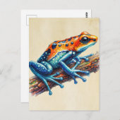 Carte Postale Poison grenouille à tarte orange bleu (Devant / Derrière)