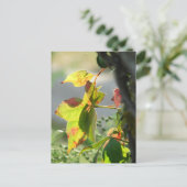 Carte Postale Poison Ivy (Debout devant)