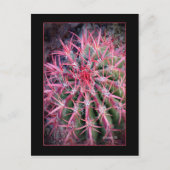 Carte Postale Poisson (Devant)