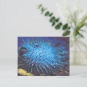 Carte Postale Poisson (Debout devant)