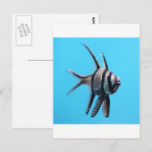 Carte Postale Poisson (Devant / Derrière)