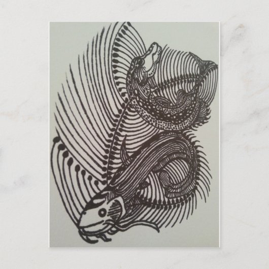Carte Postale Poisson (Devant)