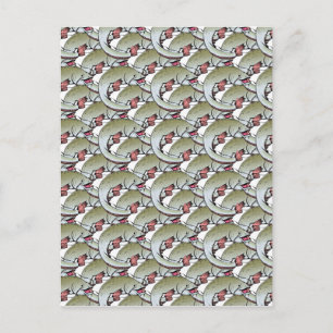 Carte Postale Poisson