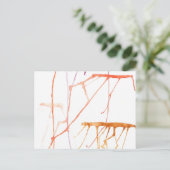 Carte Postale Poisson à gelée chaud (Debout devant)