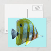 Carte Postale Poisson à papillon à bande de cuivre (Devant / Derrière)