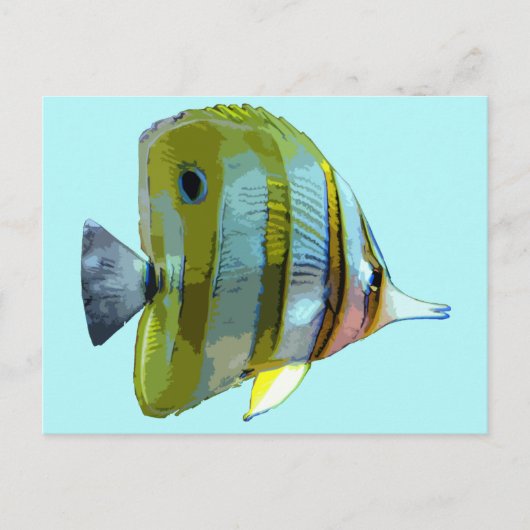 Carte Postale Poisson à papillon à bande de cuivre (Devant)