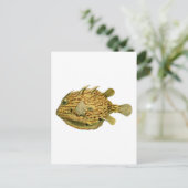 Carte Postale Poisson à raies (Debout devant)