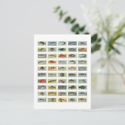 Carte Postale Poisson africain (Debout devant)