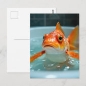 Carte Postale Poisson amusant dans le bain (Devant / Derrière)