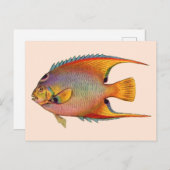 Carte Postale poisson-ange (Devant / Derrière)