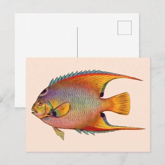 Carte Postale poisson-ange (Devant / Derrière)