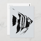 Carte Postale Poisson-ange. Noir et blanc. Monochrome (Devant / Derrière)