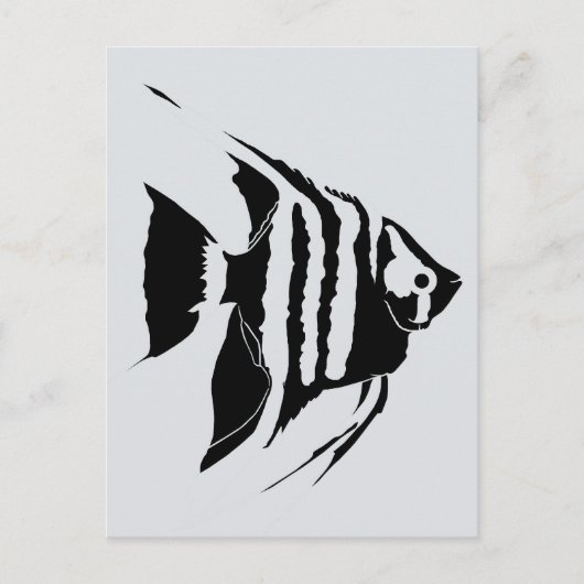 Carte Postale Poisson-ange. Noir et blanc. Monochrome (Devant)