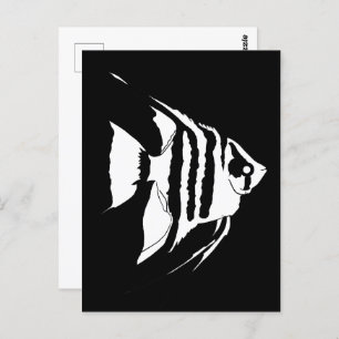 Carte Postale Poisson-ange. Noir et blanc. Monochrome