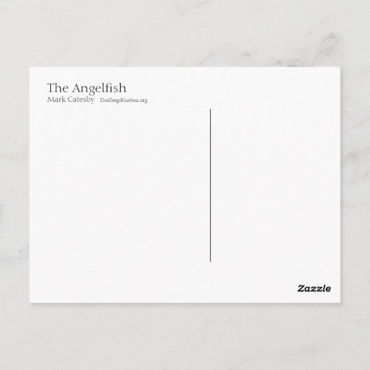 Carte postale poisson-ange - Style I (Dos)