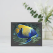 Carte Postale Poisson Angel Majestic (Debout devant)