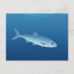 Carte Postale Poisson Argenté Serein Océan Bleu
