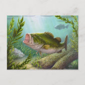 Carte Postale Poisson basse (Devant)