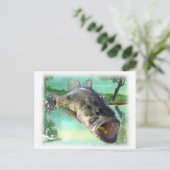 Carte Postale poisson basse (Debout devant)