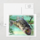 Carte Postale poisson basse (Devant / Derrière)