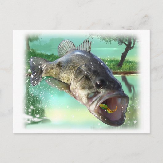 Carte Postale poisson basse (Devant)