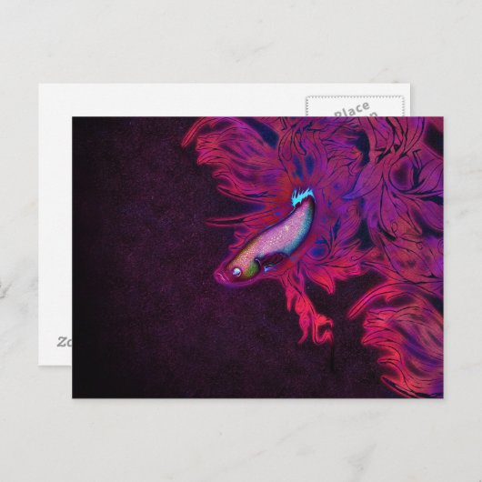 Carte Postale Poisson Bêta rose, pourpre et bleu (Devant / Derrière)