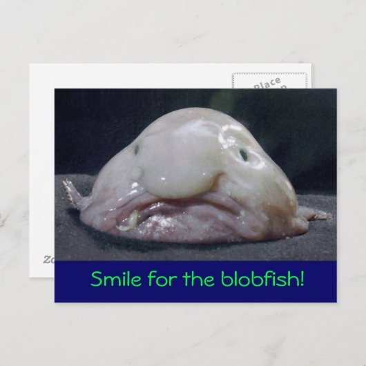 Carte Postale poisson bizarre (Devant / Derrière)