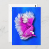 Carte Postale Poisson blanc et rose chaud (Devant / Derrière)