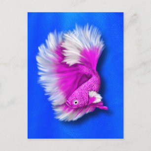 Carte Postale Poisson blanc et rose chaud