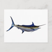 Carte Postale Poisson bleu Marlin (Devant)