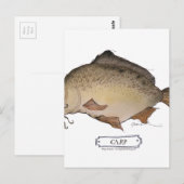 Carte Postale Poisson carpe, tony fernandes (Devant / Derrière)