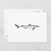 Carte Postale Poisson-chien épineux (art en ligne) (Devant / Derrière)