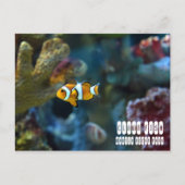 Carte Postale Poisson clown (Devant)
