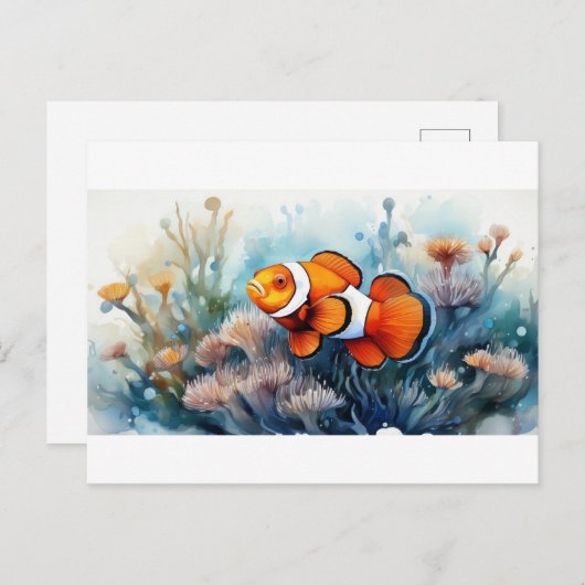 Carte Postale Poisson clown (Devant / Derrière)