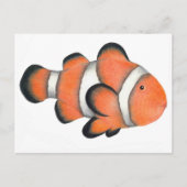 Carte Postale Poisson clown (Devant)
