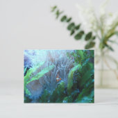 Carte Postale Poisson clown (Debout devant)