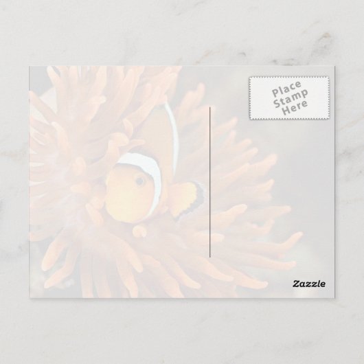 Carte Postale Poisson clown dans un aquarium marin (Dos)