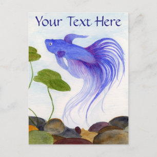 Carte Postale Poisson combattant bleu