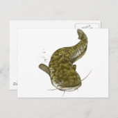 Carte Postale poisson commun japonais (Devant / Derrière)