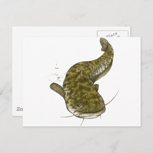 Carte Postale poisson commun japonais (Devant / Derrière)