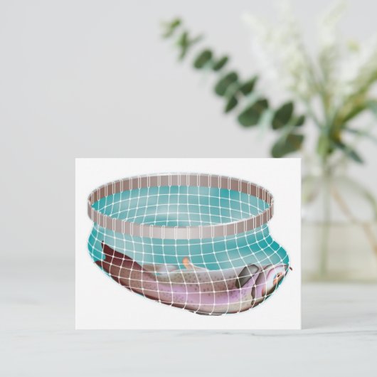 Carte Postale Poisson dans le filet (Debout devant)