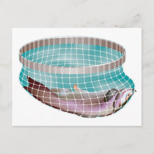 Carte Postale Poisson dans le filet