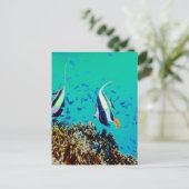 Carte postale Poisson dans les eaux Fidji (Debout devant)