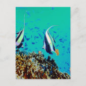 Carte postale Poisson dans les eaux Fidji (Devant)