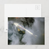 Carte Postale Poisson d'argent dans l'eau et les nuages (Devant / Derrière)