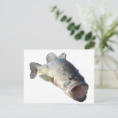 Carte Postale Poisson de bar à grande bouche (Debout devant)