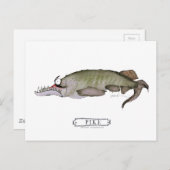 Carte Postale Poisson de brochet, tony fernandes (Devant / Derrière)