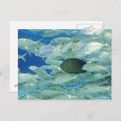 Carte Postale Poisson de chirurgien jaune à rayures jaunes (Devant / Derrière)