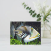 Carte Postale Poisson de l'État d'Hawaii (Debout devant)